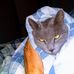 Profile Picture of Todd Sinclair (@todd.sinclair.758) on Facebook