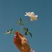 Profile Picture of Nida Zahid (@nida.butt.79025648) on Facebook