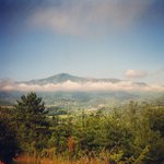 Profile Picture of London Charlie (@bingrector) on Instagram