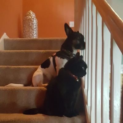 Profile Picture of Mandy Randall (@mandyrandall65) on Twitter