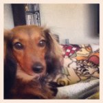 Profile Picture of Melissa Russell Shook (@shookml) on Instagram