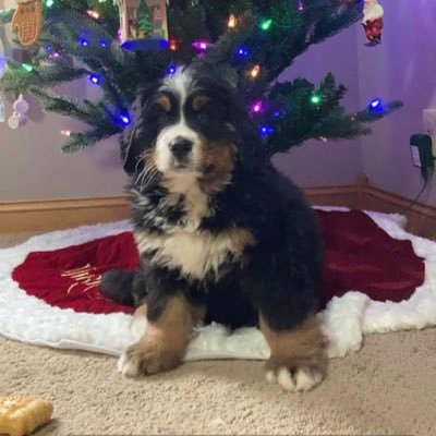 Profile Picture of Jeremy Recker (@Big_Fudge57) on Twitter
