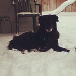 Profile Picture of Nick Harmon (@homeboyharmonator) on Instagram