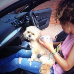 Profile Picture of Frances Hunter (@funtimefrank1) on Instagram