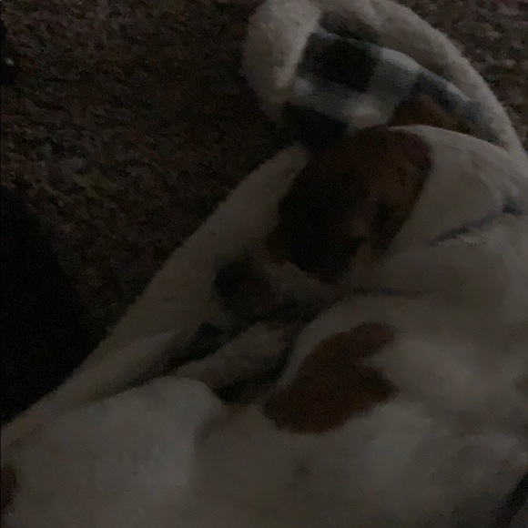 Skyler Waltrip - Poshmark Profile Picture of Skyler Waltrip (@walsky23) on Poshmark