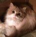 Profile Picture of Zachary Easter (@zachary.easter.3) on Facebook