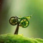 Profile Picture of Timothy Bancroft (@tsbancroft) on Instagram