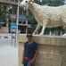Profile Picture of Norden Ch (@norden.ch.79) on Facebook