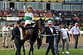 Profile Picture of Breeders' Stakes - Wikipediaon Wikipedia