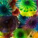 Profile Picture of Matthew Iwanski (@iwanskim) on Pinterest