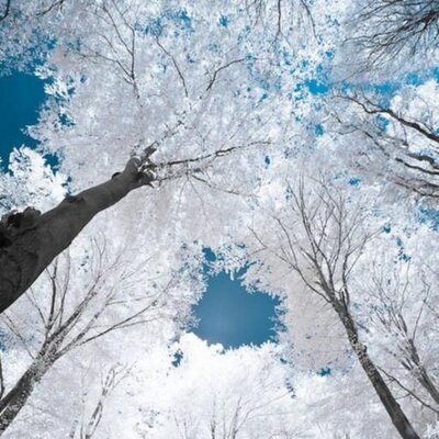 Profile Picture of Josh Grissom (@Goldps) on Twitter