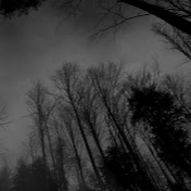 Profile Picture of Corey Jamieson (@coreyjamieson9101) on Youtube