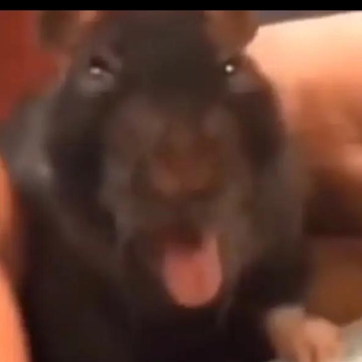 Profile Picture of Anaid Gonzalez (@anaid_gonzalez) on Tiktok