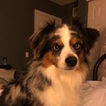 Profile Picture of Augustus “Gus” Cobb (@brothergus1) on Instagram