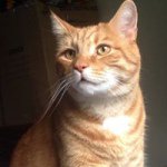 Profile Picture of Douglas Mullins (@wwefan23456) on Instagram