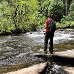 Profile Picture of Danielle Eiseman (@green_bhvr_phd) on Instagram