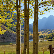 Tim Tidwell - Youtube Profile Picture of Tim Tidwell (@timtidwell590) on Youtube