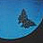 Profile Picture of Ana Isabel Hernandez Trejo (@lunamenguante061087) on Flickr