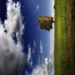 Profile Picture of Porter (@kareem6watfo) on Instagram