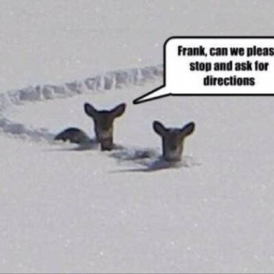 Profile Picture of Miriam Kennedy (@philmiriam) on Twitter