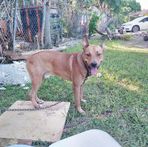 Profile Picture of Corrine Stuart (@corrine.stuart.35) on Facebook