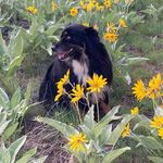 Profile Picture of Cathy Rosenthal (@cathy.cooperrosenthal) on Instagram