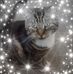 Profile Picture of Paula Blundell (@paula.blundell.12) on Facebook
