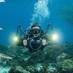 Profile Picture of James Emery 🇬🇧 (@emery.aquatic) on Instagram