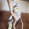Profile Picture of dawncoates2 (@@dawncoates2) on Tiktok