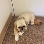 Profile Picture of Carol Schroeder (@carol.schroeder.756412) on Instagram