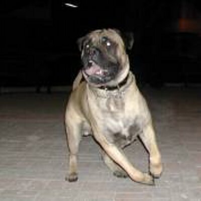 Profile Picture of Cole Sampson (@killer9111) on Twitter