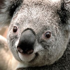 Profile Picture of Michael Margadonna (@318mmargadonna) on Pinterest