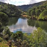 Profile Picture of Fhising Spain (@multifhisingiberic) on Instagram