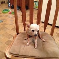 Profile Picture of Darla Decker (@darla-decker-3) on Quora