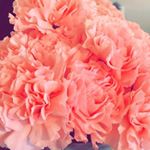 Profile Picture of Annabelle (@annabellegallegosart) on Instagram