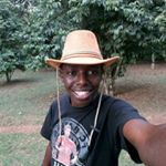 Profile Picture of Brian Rex (@brian.rex) on Instagram
