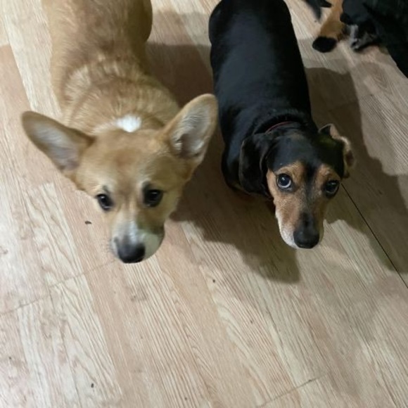 Sherry Elsworth - Poshmark Profile Picture of Sherry Elsworth (@sherrymotin12) on Poshmark