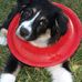 Profile Picture of Jerry Heider (@jerry.heider.77) on Facebook