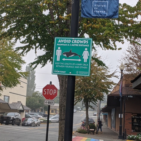 Profile Picture of Chris Homer (@c_homer) on Poshmark