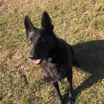 Profile Picture of Andy Tomberlin (@AndyTomberlin) on Twitter