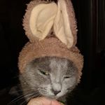 Profile Picture of Jami Stoll (@jamistoll) on Instagram