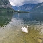 Profile Picture of jungah (@jungahnim) on Instagram