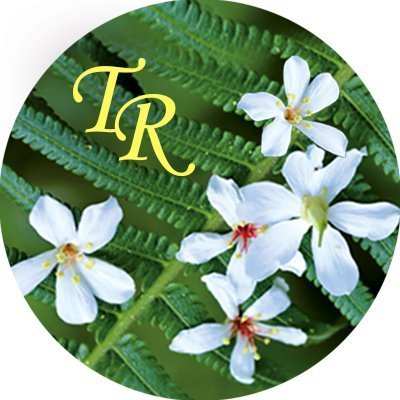 Profile Picture of Jim Hwang (@JimHwang9) on Twitter