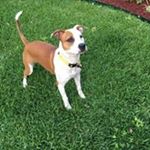 Profile Picture of Bill Reichert (@frogger4503) on Instagram