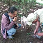 Profile Picture of Josef Huber (@huber__jo) on Instagram