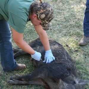 Profile Picture of Shannon Chandler (@shaney9) on Myspace