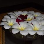 Profile Picture of vijay oza (@vmo264) on Instagram