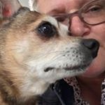 Profile Picture of Cindy Emery (@lauracemery) on Instagram