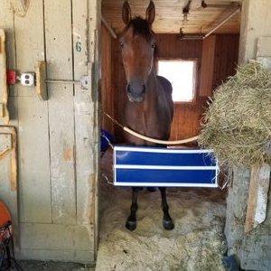 Profile Picture of Nick Izzo (@NickIzzo7) on Twitter