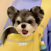 Profile Picture of George Walker (@GeorgeWalker-i8z) on Youtube